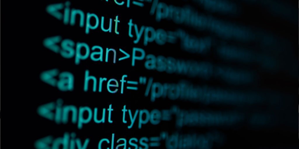 Custom System vs. Marketplace Fees: An Honest Calculation