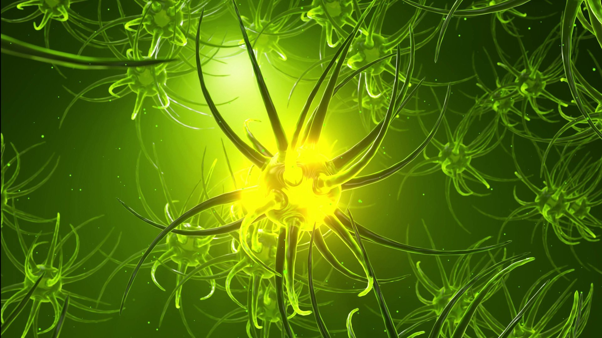 What Are Neural Networks? Simply Explained