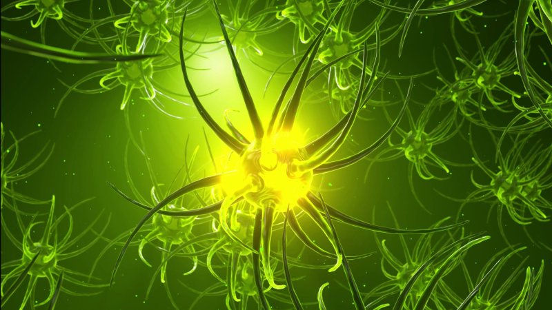 What Are Neural Networks? Simply Explained